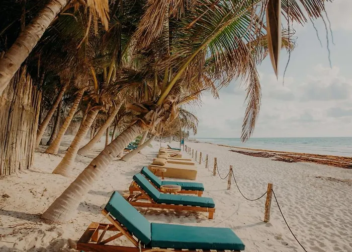Aldea Zama Penthouse With Private Rooftop Appartement Tulum