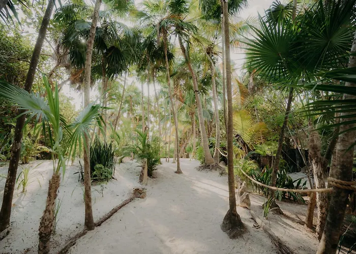Aldea Zama Penthouse With Private Rooftop * Tulum